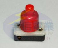 5041-27 義大利開關